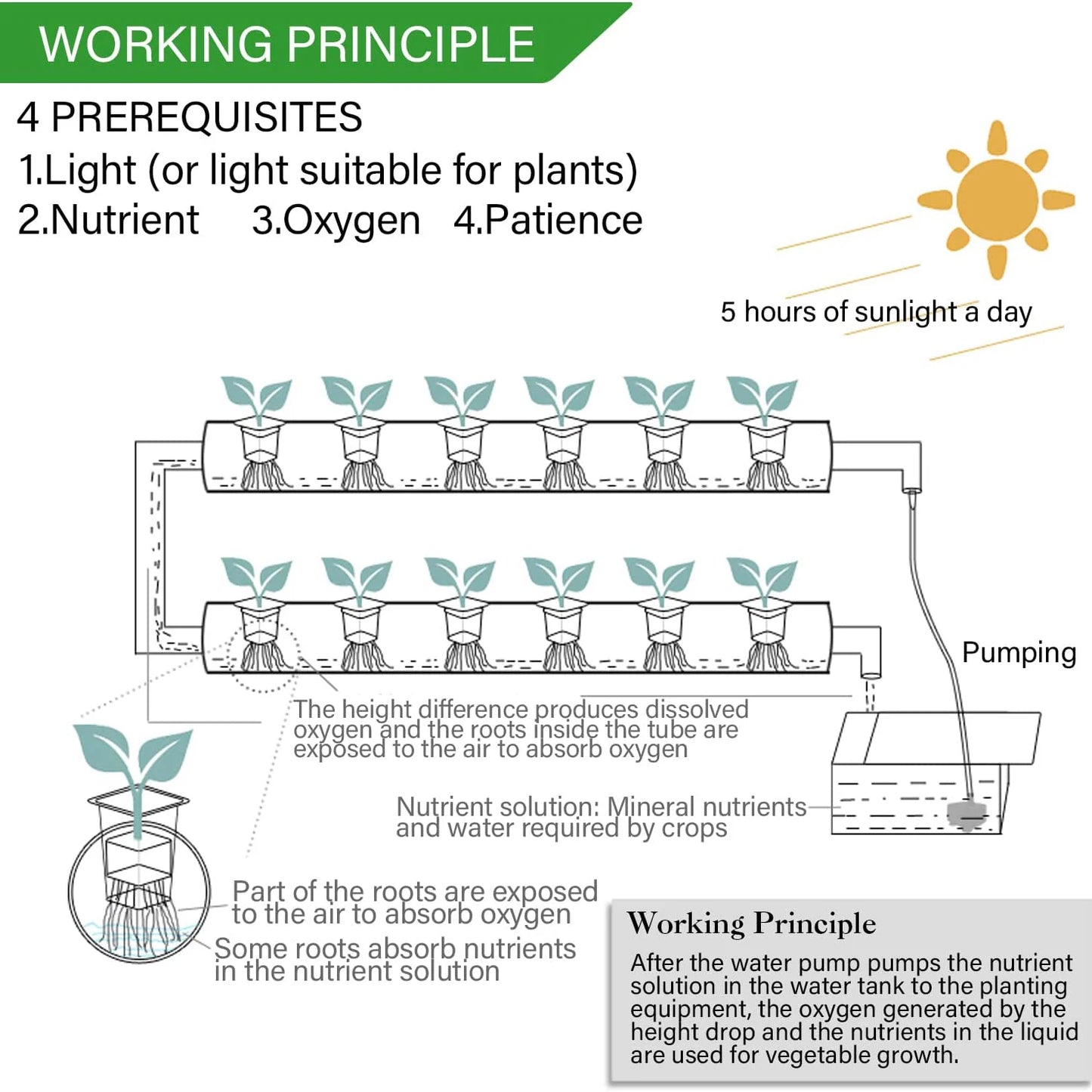 36 Sites Hydroponics Growing System