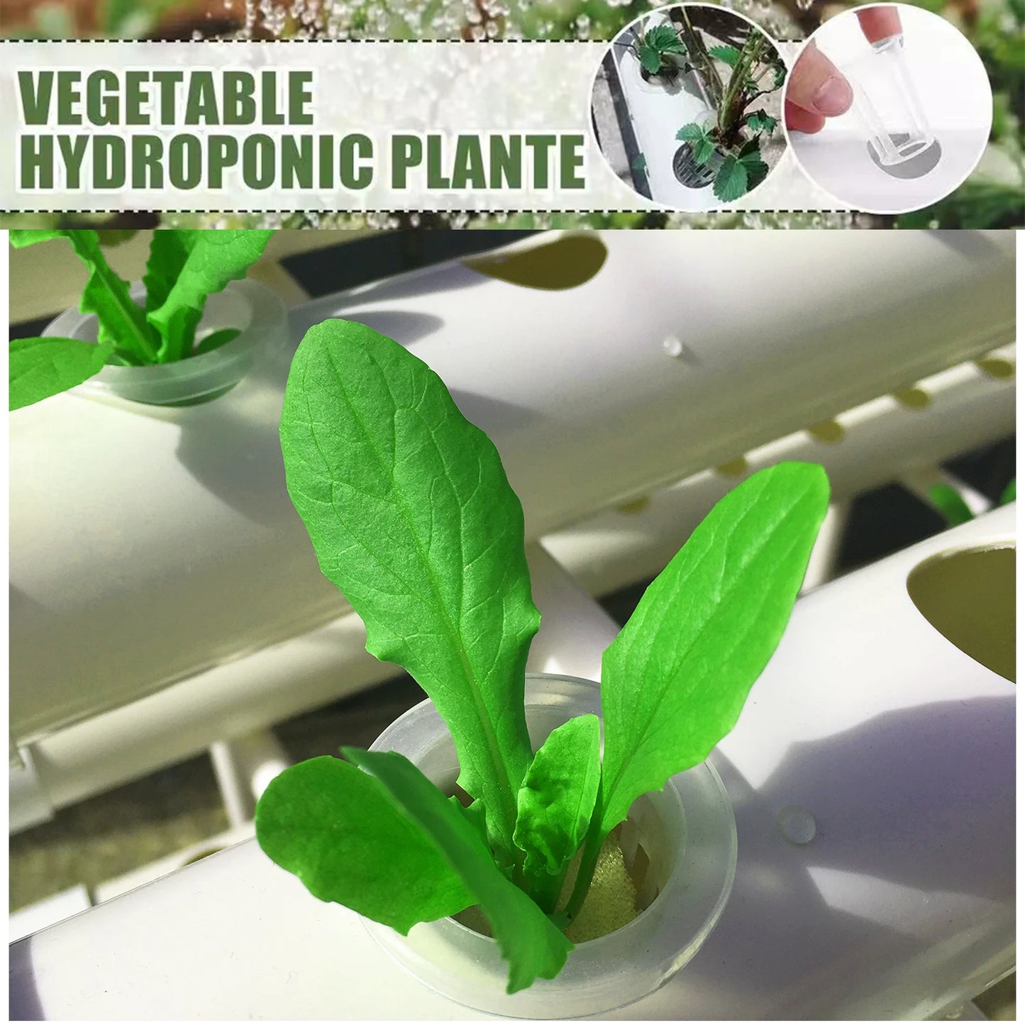 36 Sites Hydroponics Growing System