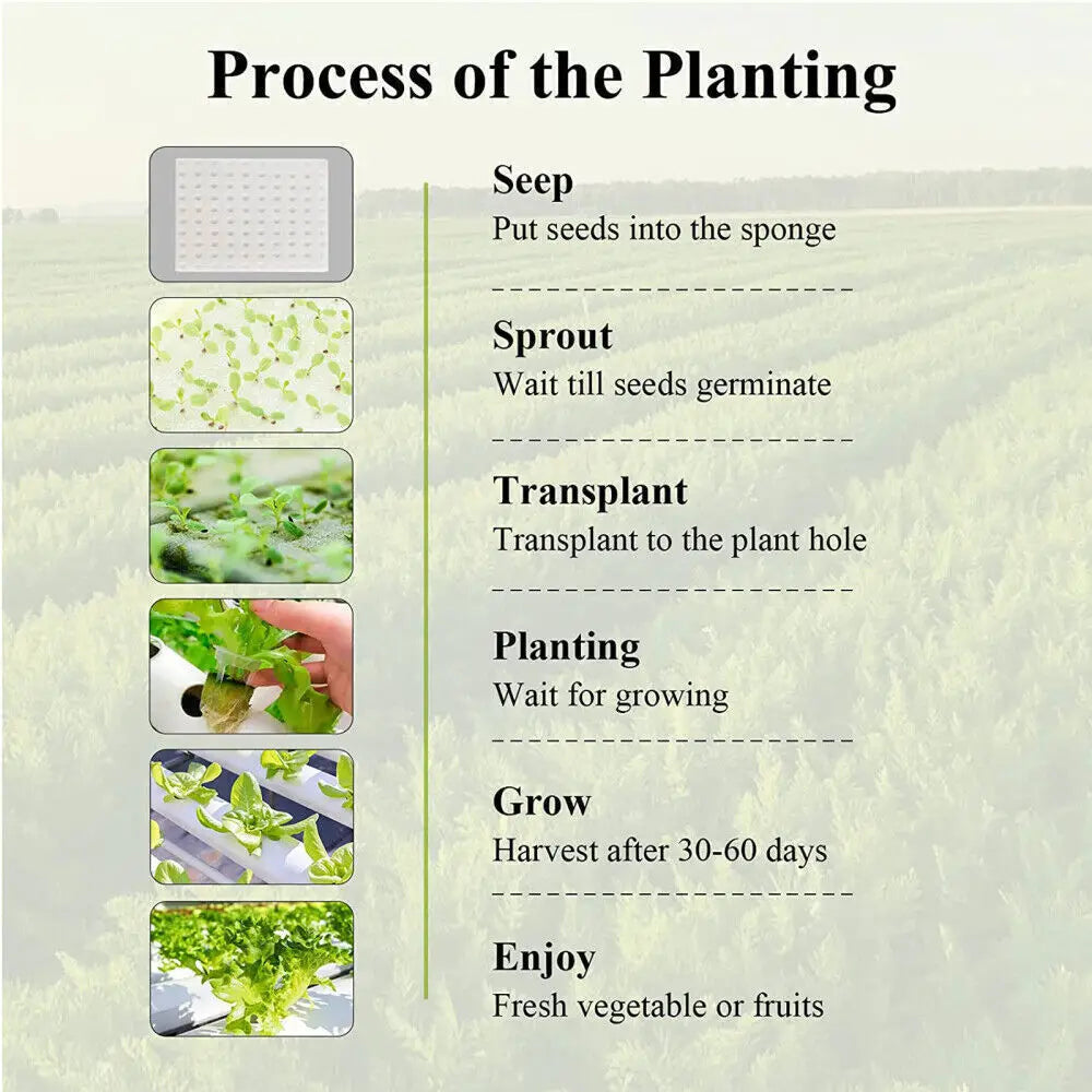 36 Sites Hydroponics Growing System