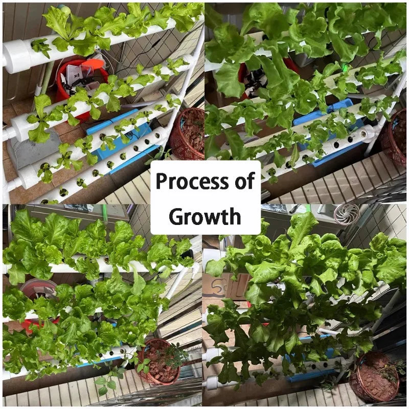 36 Sites Hydroponics Growing System